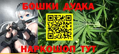 гашик Можга