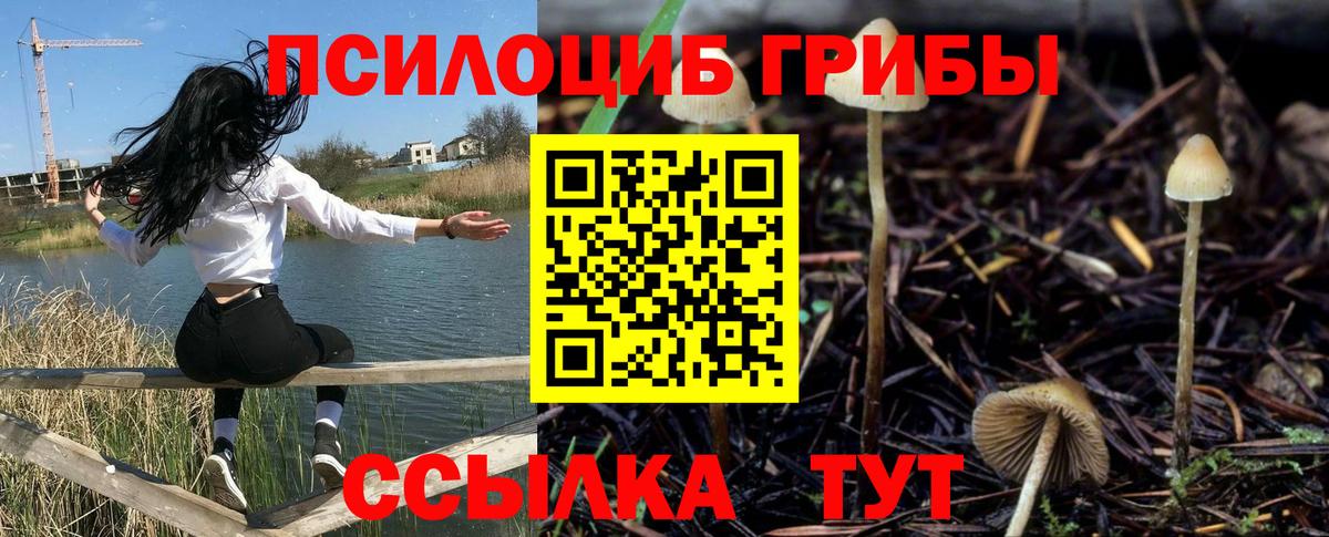 Шахты  Галлюциногенные грибы Psilocybine cubensis  Вход с VPN  Галлюциногенные грибы Cubensis 